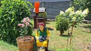 The acute phase of my illness...it's incurable for now..