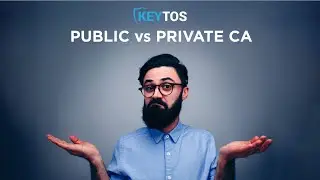Public vs Private CA: What's the Difference?