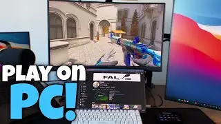 How To Play Critical Ops On PC!!