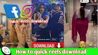 Seal Downloader | How to download instgram & Facebook reels | M tech | quick reels download