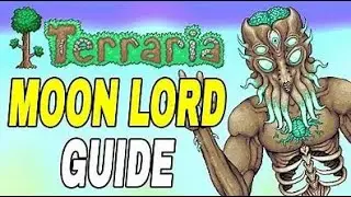 Tutorial how to Beat MoonLord #tutorial #howto