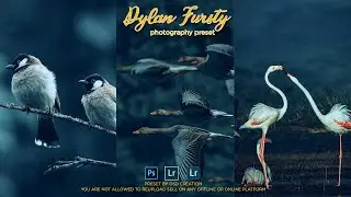 how to edit like dylan furst