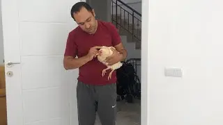 Feyza Hanım Alevi Kıskandı
