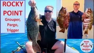 Grouper, Pargo, Trigger - Puerto Peñasco Mexico Fishing - Rocky Point - Pompano - Surf & Boat
