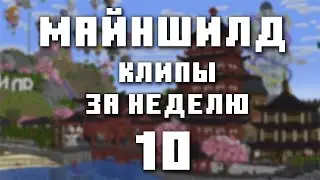 МайнШилд 3 | Клипы за неделю | Часть 10