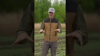 Buckwheat Breakdown | Building Whitetails | SPYPOINT #shorts