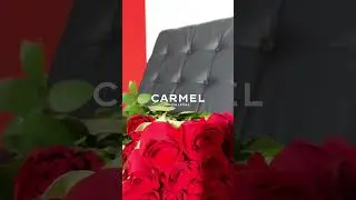 CRML | Interior Sexy