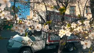 (321) Работа в пятницу и субботу по городу. Снимаю на видео 3 заказа. грузоперевозки.sony rx0