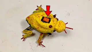How To Make Robot Frog With DC Motor and Recyclable Materials | DIY Robot Frog At Home