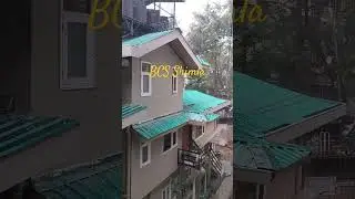 BCS Shimla | #bcs #shimla #shimlatourism #himachal #himachalpradesh #kumarshachindra