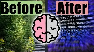 This is Your Brain on Algorithms