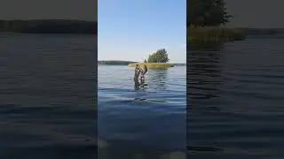 Маламут Вулкан и Заводчик Маламутов Татьяна #alaskanmalamute #путешествия #маламутпарк #маламут