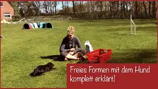 Hundeschule für zu Hause - Freies Formen mit dem Clicker komplett erklärt!