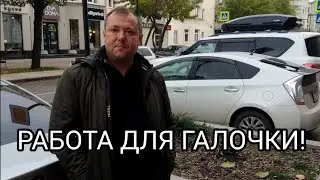 🔥МЭР, НЕ ДЕЛАЙ ИЗ НАС ДУРАКОВ!!! ПРЕКРАЩАЙ РАБОТАТЬ ДЛЯ ГАЛОЧКИ!