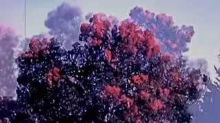 [FREE] $UICIDEBOY$ X CLAMS CASINO TYPE BEAT - “VOICES”