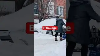 Осознанное питание в Канаде .