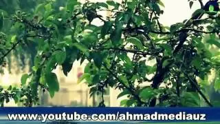 •Abdulloh domla otalar eshitsin
