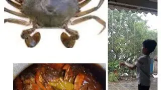 village vlog || Crab curry,#vlog