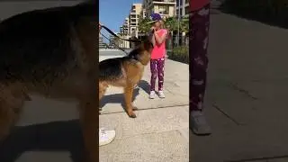 Описалась😱 а ты боишься собак? 