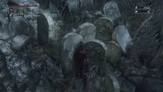 ЕбныйBloodborne