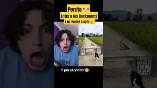 Perrito entra en los Backrooms y no vuelve a salir - Hey Crispin #humor #shorts