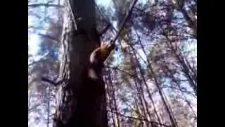 MOV076