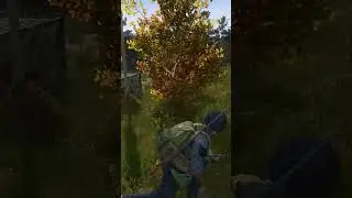 ЗОМБИ АПОКАЛИПСИС #видеоигры #игры #dayz #dayzgameplay #gaming