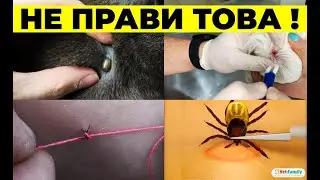 КАК СЕ ВАДИ КЪРЛЕЖ ПРАВИЛНО И БЕЗОПАСНО?