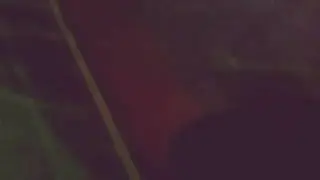 Жесть в школе
