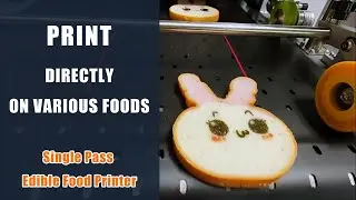 macarons cookies & confections directly printing machine by Single pass edible food printer