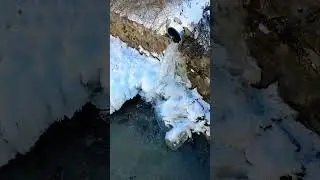 frozen