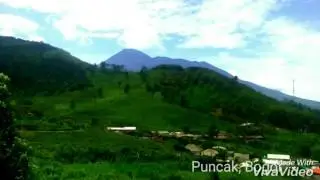 Prewedding, puncak Bogor