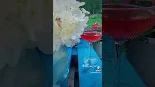 Привет авгус 2024