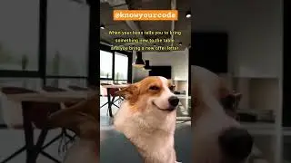 Manager : Bring something new on to the table 😂😹😅😂😅😉🐕 
