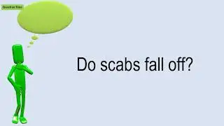 Do Scabs Fall Off?