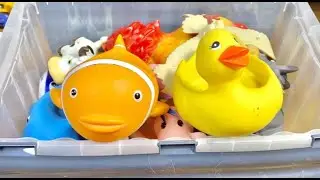 Learn Animals in English Lion Duck Dolphin Zebra Educational Cartoons for Kids