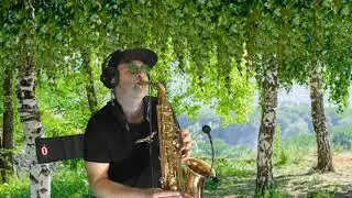 Сектор Газа - 30 лет ( cover by Amigoiga sax ) deep version