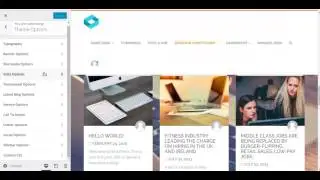 Get familiar with Robojob WordPress job themes Theme options