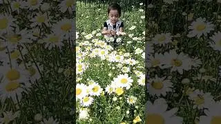 Teri ankhon me duniya ke sab tare shamil hain