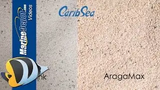 Aquarium Sand: Deep Sand Bed or Shallow? Coarse or Fine? Find Out!