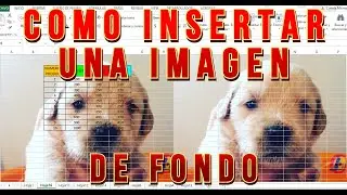 Como INSERTAR una IMAGEN de FONDO en Excel