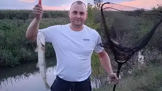 Ловля щуки на живця! #щука #щуканажерлицы #рибалка