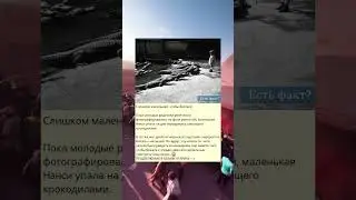 Слишком маленькая, чтобы бояться