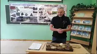 Музей естественной истории, Шашково