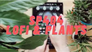 SP404, Lofi & Plants 🍃 [lofi hip hop/relaxing beats]