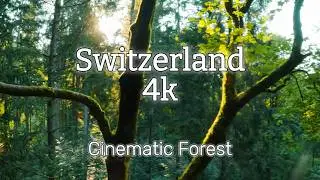 Switzerland in 4K - Cinematic FPV Forest Relaxation Film Calming Music