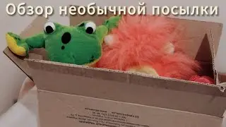 Обзор Необычной Посылки