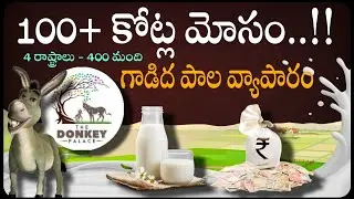 100 crore donkey milk fraud live.victims United for action The Donkey Palace #businessnews #facts