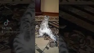 Ляяя кто тут сидит...
