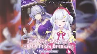 If I Can Stop One Heart From Breaking Cover by Cheese Moon #歌ってみた